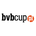 Beach Volleyball Business Cup